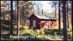 Stor bild